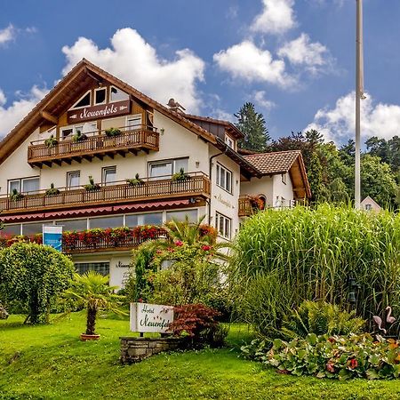 Hotel Neuenfels Баденвайлер Екстер'єр фото